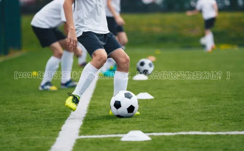oety欧亿体育梯哥哥科技【2021年浙江足球场地费用调查：价格高昂还是物超所值？】