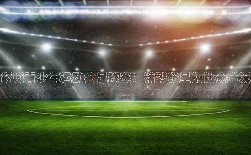 欧亿体育综合app平台美团舒城青少年运动会足球赛：精彩纷呈的比赛盛况