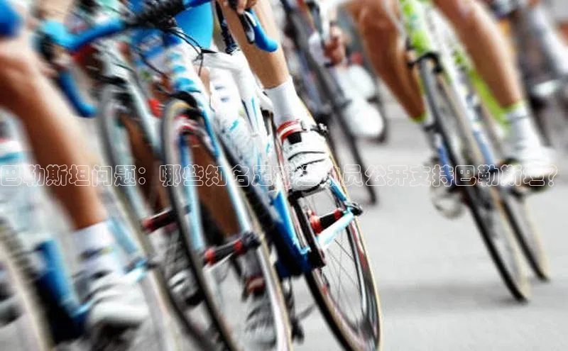 欧亿体育免费登录入口颐驰 06巴勒斯坦问题：哪些知名足球运动员公开支持巴勒斯坦？