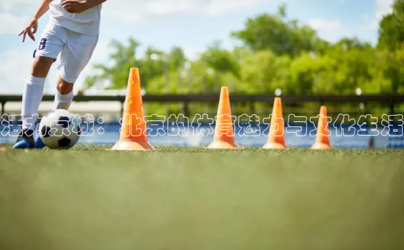 oety欧亿体育百度翻译App活力京城：北京的体育魅力与文化生活