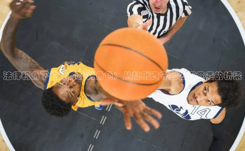 法律视角下的体育裁判角色：从规则遵守到公平竞赛的桥梁