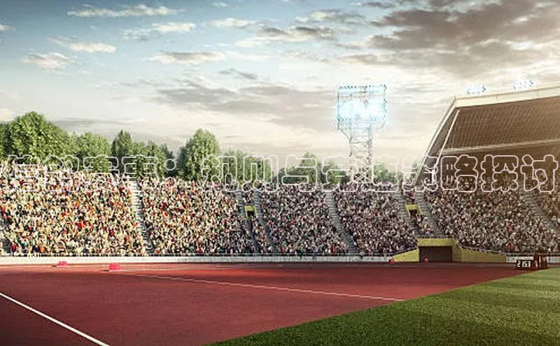 信鸽赛事：规则与竞速策略探讨