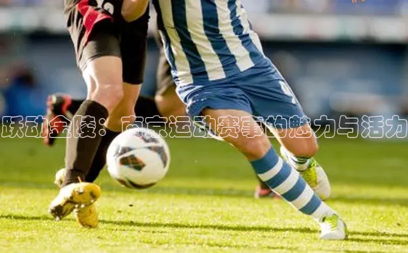 跃动金陵：南京运动赛事的魅力与活力