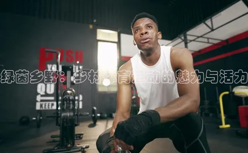 绿茵乡野：乡村体育运动的魅力与活力