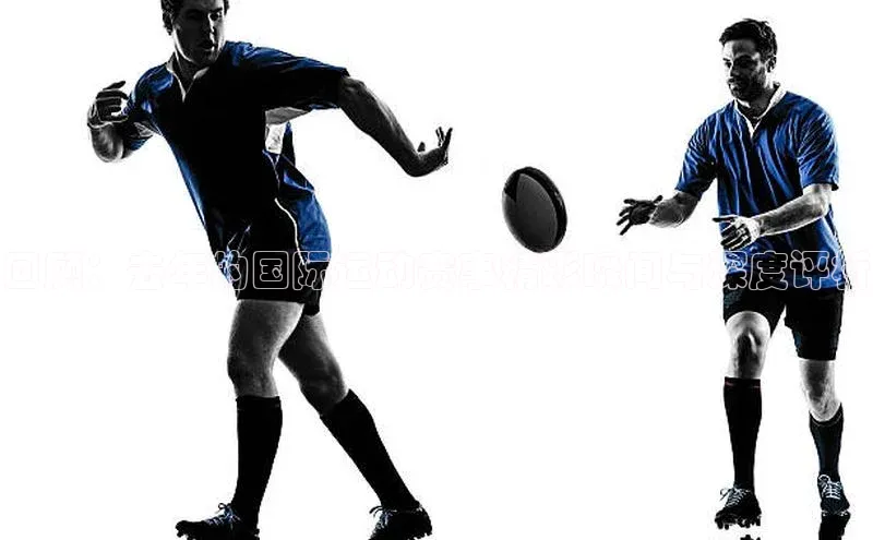 回顾：去年的国际运动赛事精彩瞬间与深度评析