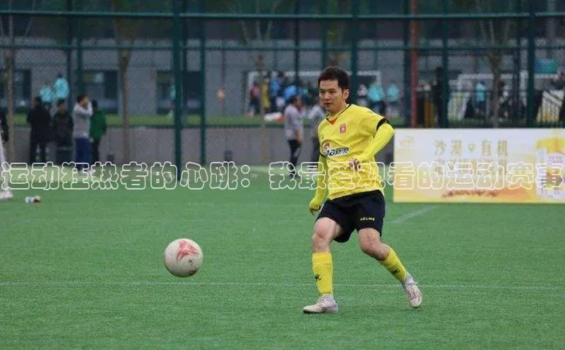 运动狂热者的心跳：我最爱观看的运动赛事