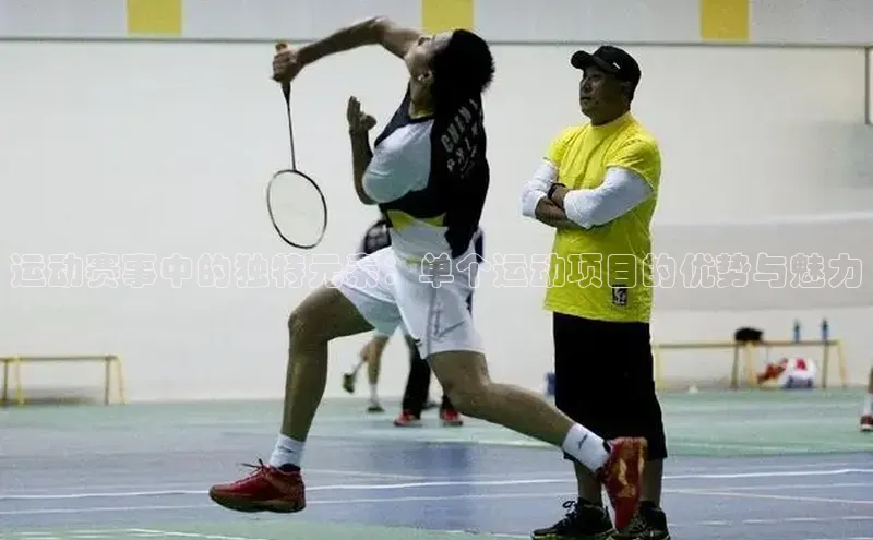 运动赛事中的独特元素：单个运动项目的优势与魅力