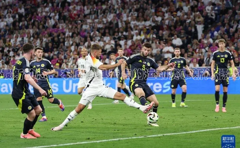 最新动态：本周最具看点的运动赛事新闻概览