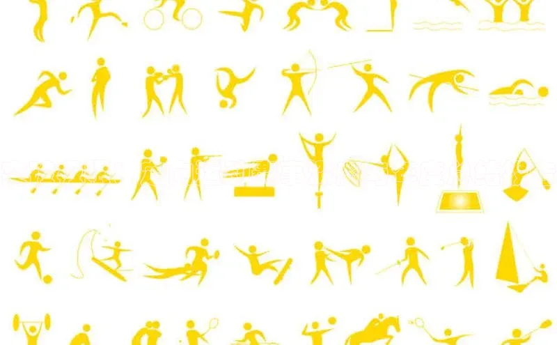 突破极限：定向运动赛事深度与年度总结报告