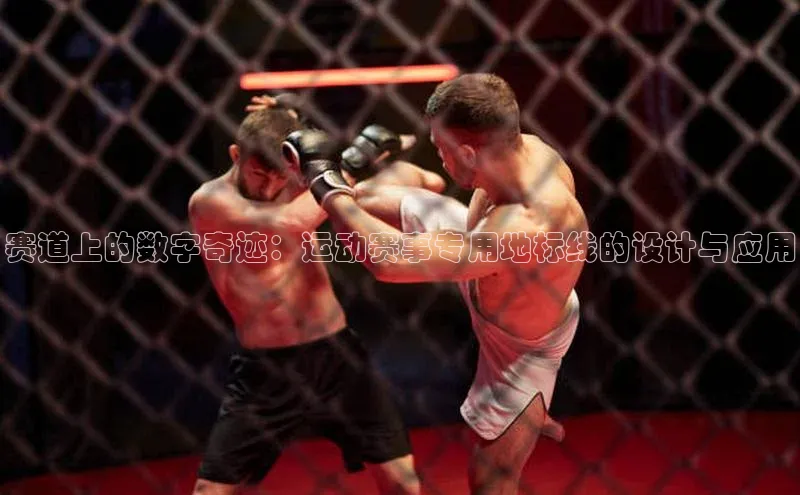 赛道上的数字奇迹：运动赛事专用地标线的设计与应用