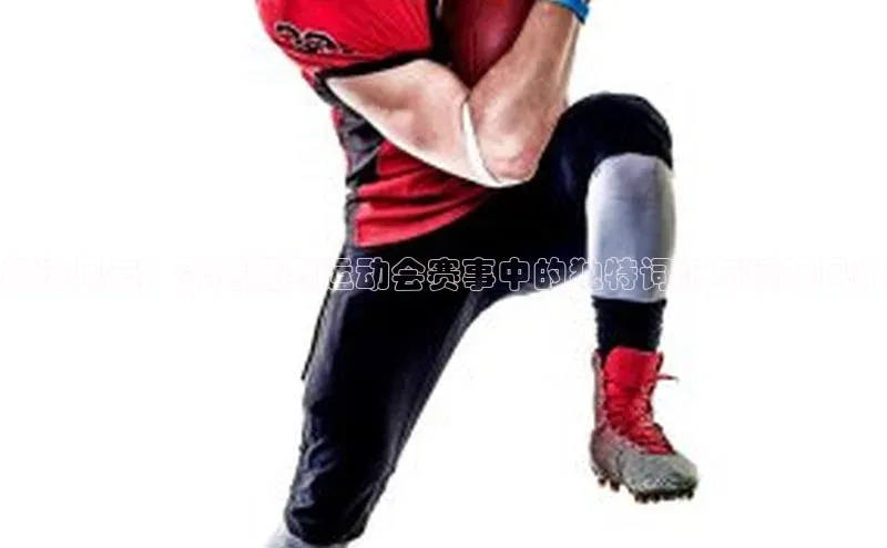 极速风云：聚焦激烈运动会赛事中的独特词汇与精神风貌