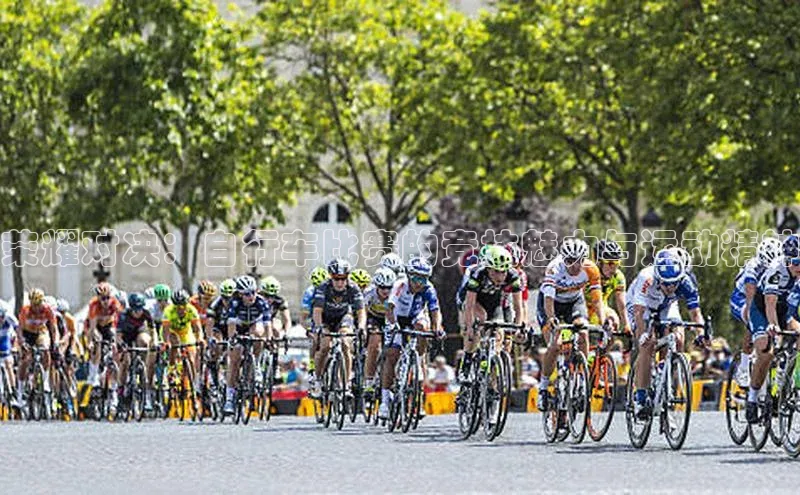 荣耀对决：自行车比赛的竞技魅力与运动精神