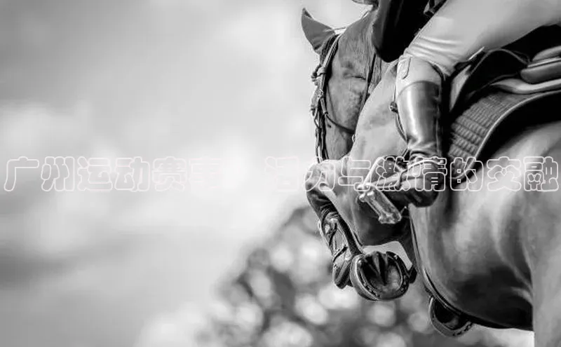 广州运动赛事：活力与激情的交融