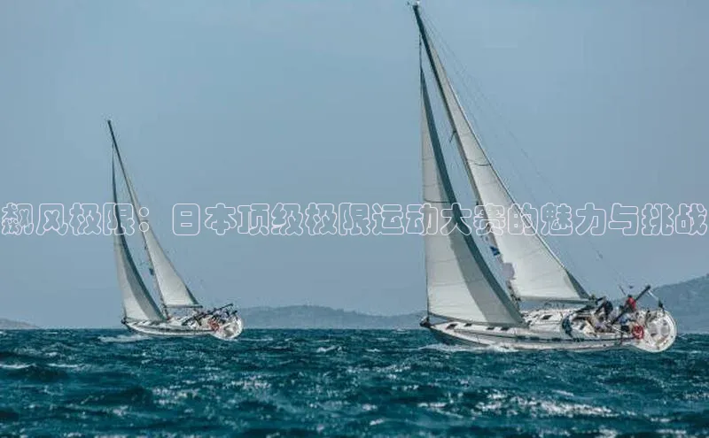 飙风极限：日本顶级极限运动大赛的魅力与挑战