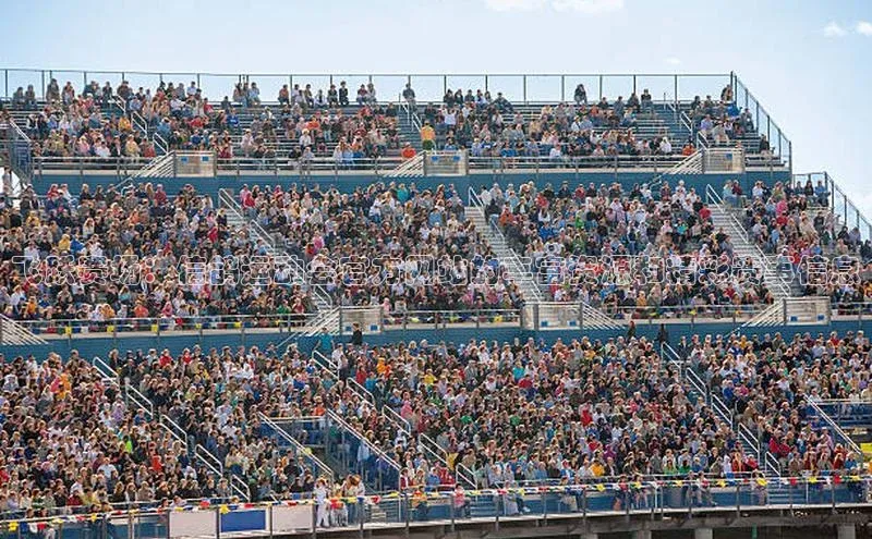 飞跃赛场：信鸽运动会官方网站的丰富资源和精彩赛事信息