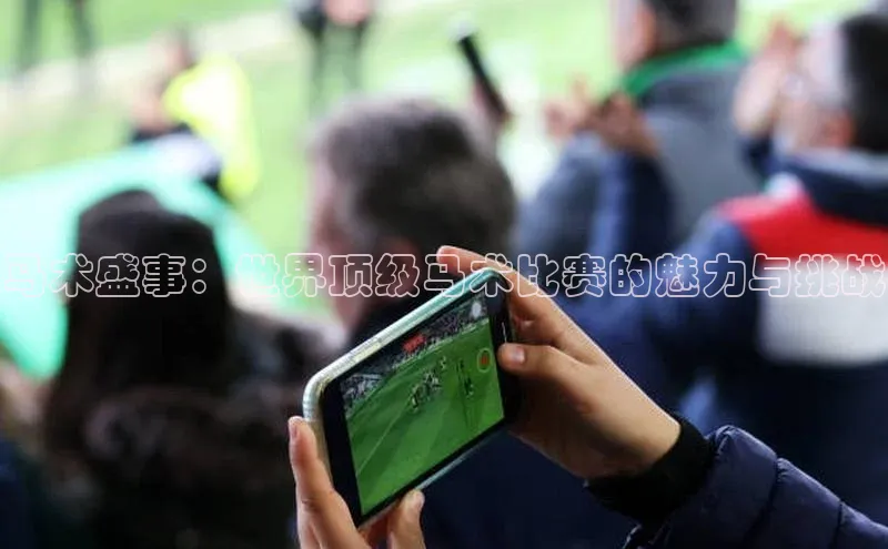 马术盛事：世界顶级马术比赛的魅力与挑战